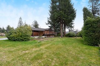 Photo 6: 1923 Bolt Ave in Comox: CV Comox (Town of) House for sale (Comox Valley)  : MLS®# 897720