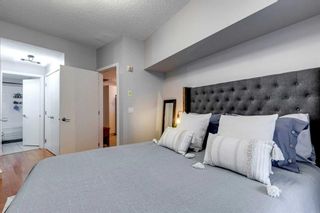 Photo 11: 215 315 24 Avenue SW in Calgary: Mission Apartment for sale : MLS®# A2128914