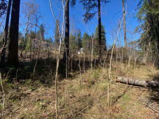 Photo 15: Lot L VIEW RIDGE ROAD in Nelson: Vacant Land for sale : MLS®# 2460797