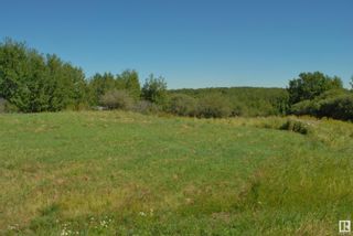 Photo 4: 17 54228 RGE RD 12: Rural Lac Ste. Anne County House for sale : MLS®# E4349029