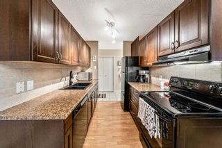 Photo 5: 412 3420 50 Street NW in Calgary: Varsity Apartment for sale : MLS®# A2053928