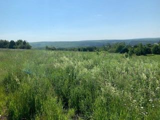 Photo 1: 126 Victoria Street in Springhill: 102S-South of Hwy 104, Parrsboro Vacant Land for sale (Northern Region)  : MLS®# 202116581