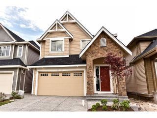 Photo 1: 20955 80A Avenue in Langley: Willoughby Heights House for sale : MLS®# F1438496