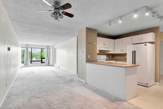 Photo 8: 204 659 4 Avenue NE in Calgary: Bridgeland/Riverside Apartment for sale : MLS®# A2137492