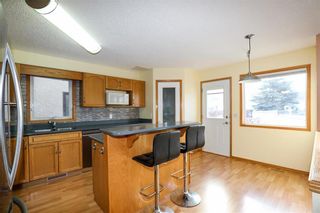 Photo 15: 10 Hochman Avenue in Winnipeg: River Park South Residential for sale (2F)  : MLS®# 202313092