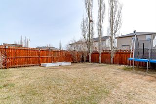 Photo 24: 402 Bridlemeadows Common SW in Calgary: Bridlewood Detached for sale : MLS®# A1208543