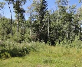 Photo 6: 122 Wolf Run Drive: Rural Ponoka County Residential Land for sale : MLS®# A2032926