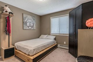 Photo 5: 3211 16969 24 ST SW in Calgary: Bridlewood Apartment for sale : MLS®# C4223465