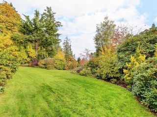 Photo 11: 6466 Oldfield Rd in Central Saanich: CS Saanichton House for sale : MLS®# 960828