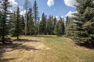 Photo 12: 312 5241 Township Road 325A: Rural Mountain View County Detached for sale : MLS®# A2040458