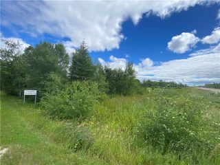 Photo 6: 86027 36 Road East in Brokenhead Rm: R02 Residential for sale : MLS®# 202316848