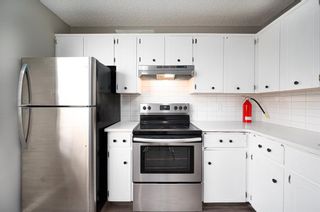 Photo 9: 8402 Berkley Road NW in Calgary: Beddington Heights Semi Detached (Half Duplex) for sale : MLS®# A2009701