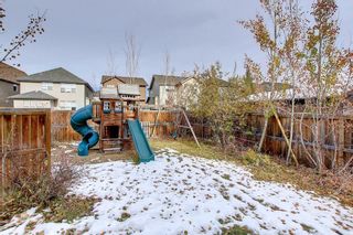 Photo 43: 186 Chaparral Valley Square SE in Calgary: Chaparral Semi Detached (Half Duplex) for sale : MLS®# A2009371
