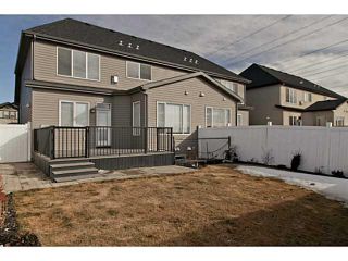 Photo 19: 113 Rainbow Falls Boulevard: Chestermere House for sale : MLS®# C3656518