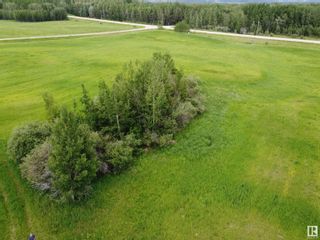 Photo 7: NW-31-47-1-5 TWP 480 RR 20: Rural Leduc County Rural Land/Vacant Lot for sale : MLS®# E4299612