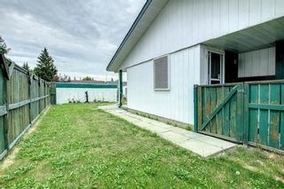 Photo 37: 655 Templeside Road NE in Calgary: Temple Detached for sale : MLS®# A1250670
