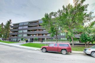 Photo 4: 201 511 56 Avenue SW in Calgary: Windsor Park Apartment for sale : MLS®# A1257739