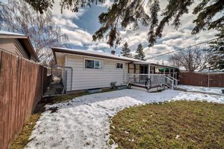 Photo 26: 2223 46 Street SE in Calgary: Forest Lawn Detached for sale : MLS®# A2121892