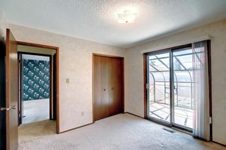 Photo 21: 6207 Temple Drive NE in Calgary: Temple Detached for sale : MLS®# A1234362