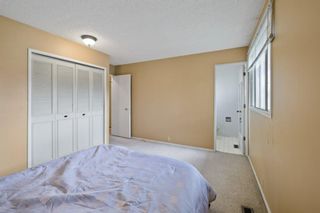 Photo 17: 2719 41A Avenue SE in Calgary: Dover Detached for sale : MLS®# A1132973