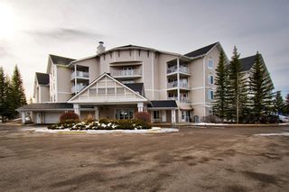 Photo 43: 107 305 1 Avenue NW: Airdrie Apartment for sale : MLS®# A1194619