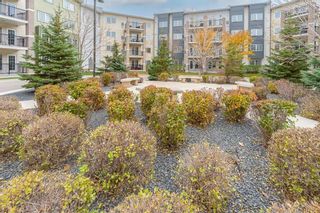 Main Photo: 420 25 Bridgeland Drive North in Winnipeg: Bridgwater Forest Condominium for sale (1R)  : MLS®# 202225607