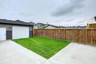 Photo 40: 265 Skyview Ranch Drive NE in Calgary: Skyview Ranch Semi Detached for sale : MLS®# A1235293