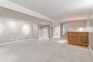 Photo 27: 4908 Nelson Road NW in Calgary: North Haven Detached for sale : MLS®# A2040949