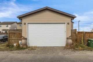 Photo 39: 136 Morningside Manor SW: Airdrie Detached for sale : MLS®# A2084019