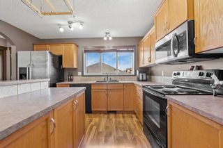 Photo 11: 251 Copperfield Heights SE in Calgary: Copperfield Detached for sale : MLS®# A2123137