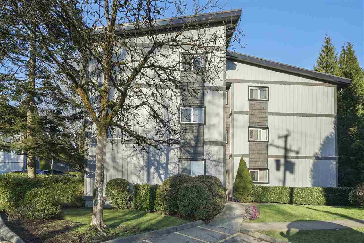 Main Photo: 239 202 WESTHILL Place in Port Moody: College Park PM Condo for sale in "Westhill Place" : MLS®# R2558066