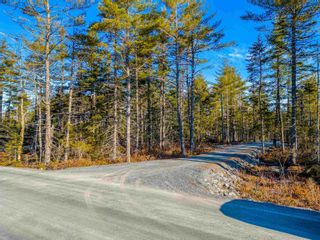 Photo 16: Lot 51 Meek Arm Trail in East Uniacke: 105-East Hants/Colchester West Vacant Land for sale (Halifax-Dartmouth)  : MLS®# 202404877