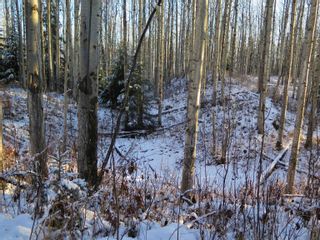 Photo 16: GLACIER GULCH RD ROAD in Smithers: Smithers - Rural Land for sale (Smithers And Area (Zone 54))  : MLS®# R2633357
