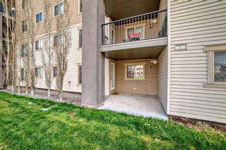 Photo 12: 4117 403 Mackenzie Way SW: Airdrie Apartment for sale : MLS®# A2132855