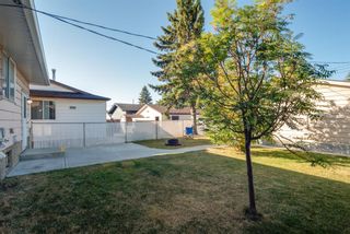 Photo 31: 3719 28 Street SE in Calgary: Dover Detached for sale : MLS®# A1040737