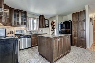 Photo 12: 126 Dovercliffe Way SE in Calgary: Dover Detached for sale : MLS®# A1082276