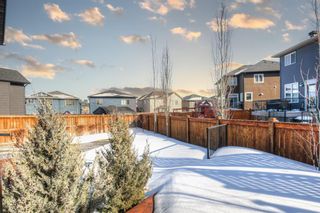 Photo 24: 124 Kinniburgh Close: Chestermere Detached for sale : MLS®# A2031035