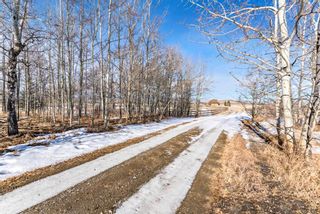 Photo 6: 160132 434 Avenue W: Rural Foothills County Detached for sale : MLS®# A1176239