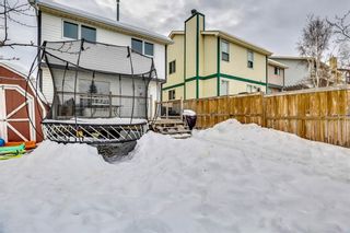Photo 29: 207 STRATHEARN Crescent SW in Calgary: Strathcona Park House for sale : MLS®# C4165815