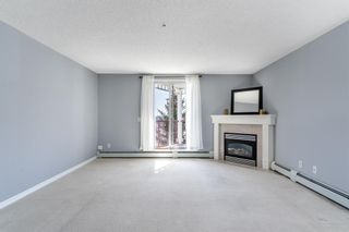 Photo 18: 313 9 Country Village Bay NE in Calgary: Country Hills Village Apartment for sale : MLS®# A2035912