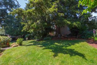 Photo 29: 3580 Doncaster Dr in Saanich: SE Cedar Hill House for sale (Saanich East)  : MLS®# 933404
