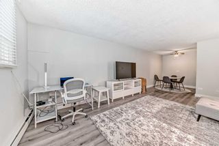 Photo 8: 103 1027 Cameron Avenue SW in Calgary: Lower Mount Royal Apartment for sale : MLS®# A2113620