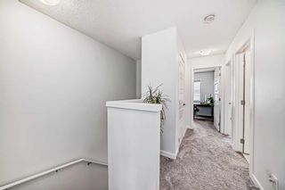 Photo 29: 203 137 Red Embers Link NE in Calgary: Redstone Row/Townhouse for sale : MLS®# A2124972
