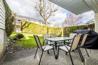 Photo 17: 38 3054 TRAFALGAR Street in Abbotsford: Central Abbotsford Townhouse for sale : MLS®# R2160186