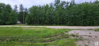 Photo 5: 53424 RGE RD 60: Rural Parkland County Rural Land/Vacant Lot for sale : MLS®# E4301067