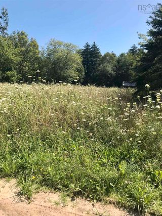 Photo 1: 20 Tory Lane in St. Bernard: Digby County Vacant Land for sale (Annapolis Valley)  : MLS®# 202127290
