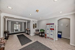 Photo 41: 204 2212 34 Avenue SW in Calgary: South Calgary Apartment for sale : MLS®# A2121274
