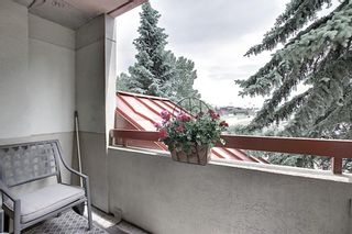 Photo 22: 204 2011 UNIVERSITY Drive NW in Calgary: University Heights Apartment for sale : MLS®# C4305670