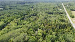 Photo 1: PARCEL A Barneys River Road in Avondale: 108-Rural Pictou County Vacant Land for sale (Northern Region)  : MLS®# 202016062