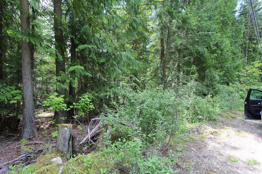 Main Photo: Lot 96 Crowfoot Drive in Anglemont: North Shuswap Land Only for sale (Shuswap)  : MLS®# 10158355